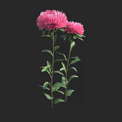 Elegant Pink Flowers With Green Leaves And Stems For Vase Decoration 3d model