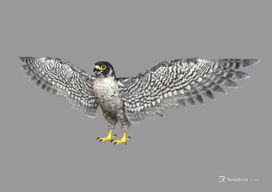 Falcon with Patterned Feathers Spreading Wings and Yellow Talons on Gray Background 3d model 