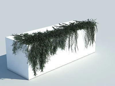 Lush Trailing Vines Growing in White Rectangular Planter with Cascading Green Foliage 3d model