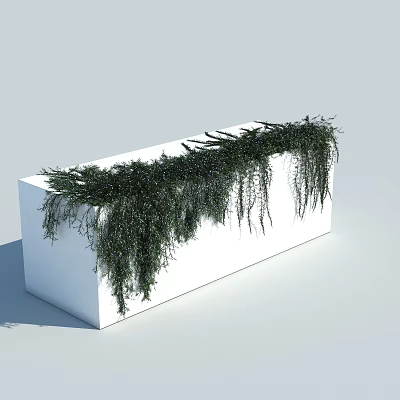 Lush Trailing Vines Growing in White Rectangular Planter with Cascading Green Foliage 3d model