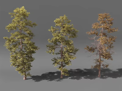 Three Different Trees With Lush Green Medium Yellow And Sparse Brown Foliage On Gray Background 3d model