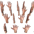 Modern Multiplayer Gesture Arm Combo Female Arm Palm Finger Combo Male Arm Palm 3d model