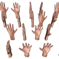 Modern Multiplayer Gesture Arm Combo Female Arm Palm Palm Finger Combo Male Arm Palm 3d model