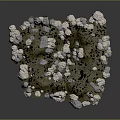 Wood And Stone Natural Decor Elements With Scattered White Stones On Green Moss