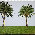 Palm Trees Decorated With Illuminated String Lights Under Blue Sky Green Grass And Distant Mountains