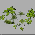 Various Green Plants With Different Leaf Shapes And Sizes In 3D Render 3d model
