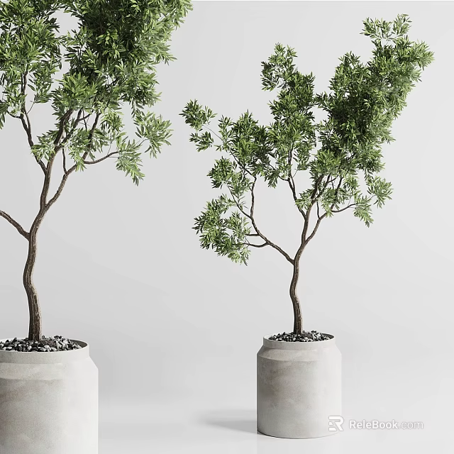 Chic Garden Decor Showcasing Two Trees in Concrete Pots With Small Pebbles 3d model