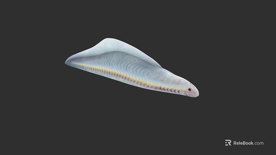 Silver Yellow Striped Aquatic Eel With Elongated Body And Smooth Skin In Dark Background 3d model 