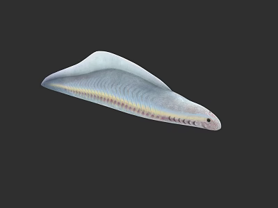 Silver Yellow Striped Aquatic Eel With Elongated Body And Smooth Skin In Dark Background 3d model