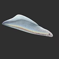 Silver Yellow Striped Aquatic Eel With Elongated Body And Smooth Skin In Dark Background