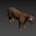 Realistic 3D Model Of A Standing Tiger With Striped Fur And Detailed Features