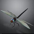 Vibrant Dragonfly With Blue Wings Colorful Eyes And Dark Body Blue Stripes
