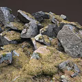 Natural Stone Rocks With Green Moss Covered Surface And Rough Texture 3d model