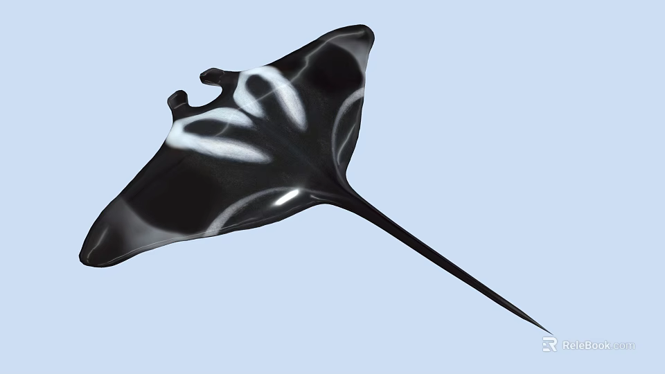 Black and White Manta Ray Featuring Unique Pattern and Long Tail in Blue Water 3d model 