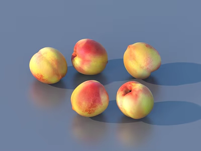 Fresh Ripe Peaches with Yellow and Red Skin Arranged on Gray Surface 3d model