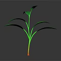 Green Seedlings with Stems and Leaves on Dark Background and Visible Reflections
