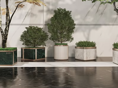 Stylish Indoor Bonsai Plants With Geometric Marble Planters And Green Foliage 3d model