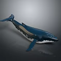 3D Rendered Whale With Deep Blue Body White Belly Fins Tail And Gray Gradient Background
