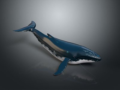 whale cartoon whale mammal marine mammal marine animal fish freshwater fish marine fish 3d model