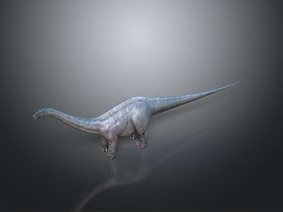 Realistic Sauropod Dinosaur Model With Long Neck Tail On Gray Background And Shadow Reflection 3d model