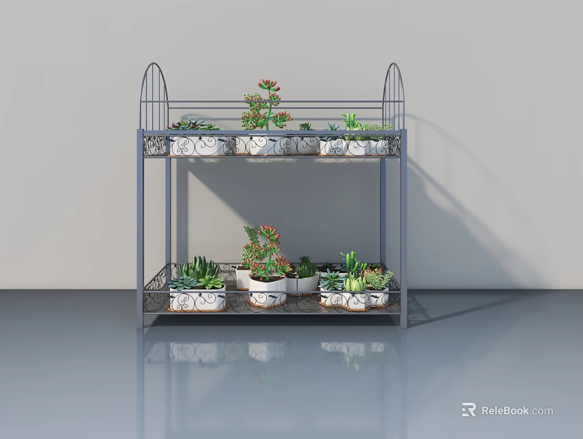 Hinged Door Design With Two Tier Metal Shelf And Succulent Plants 3d model 