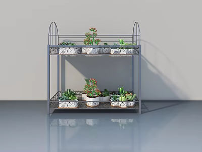 Hinged Door Design With Two Tier Metal Shelf And Succulent Plants 3d model