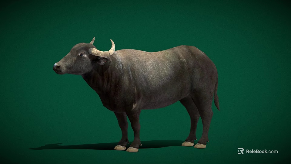 Game Movie Character 3D Model of Buffalo With Green Background and Realistic Details 3d model 
