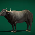 Game Movie Character 3D Model of Buffalo With Green Background and Realistic Details