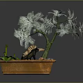 Potted Indoor Plant with Green Leaves Brown Pot Dinosaur Figure and Small Stones