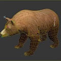 Brown Bear 3D Model With Orange And Brown Fur Standing On Dark Background