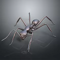 Detailed 3D Model of Metallic Ant with Shiny Exoskeleton and Long Legs on Dark Background