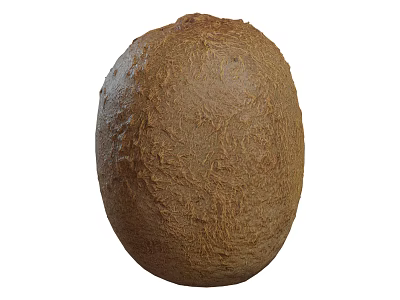 Close Up Of A Whole Kiwi Fruit With Rough Skin 3d model