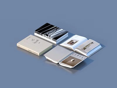 Open Books and Magazines with Modern Stripe Covers and Elegant Image Pages 3d model