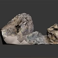 Natural Wood and Stone Decorative Piece with Irregular Shape and Color Variations
