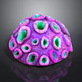 Vibrant Purple And Green Coral Hemispherical Shape With Textured Pores On Black Background