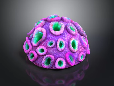 Vibrant Purple And Green Coral Hemispherical Shape With Textured Pores On Black Background 3d model