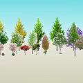 Diverse Plant Combination With Assorted Trees Various Sizes And Colorful Foliage