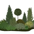 Various Types Of Trees Shrubs And Green Plants In Natural Garden Landscape With Lawn