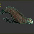 3D Rendered Realistic Sea Lion With Red Head Marking In Dark Background
