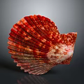 Scallop With Red And Pink Fan Shaped Shell Featuring Intricate Texture On Dark Background 3d model