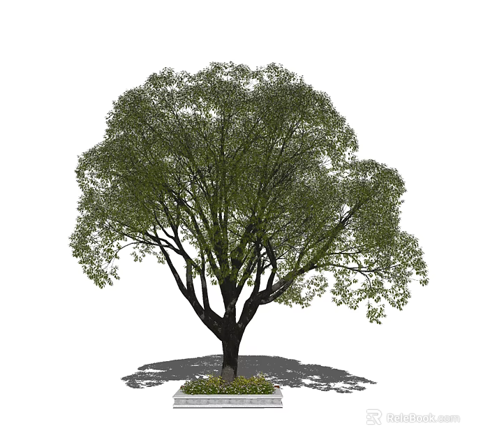 Lush Green Arbor With Dense Foliage Strong Trunk And Concrete Base 3d model 