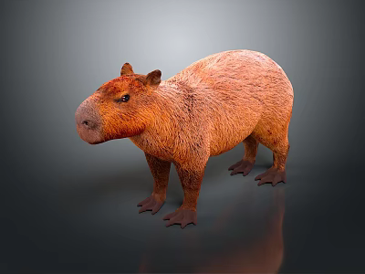 Realistic Brown Capybara 3D Render With Detailed Fur And Shiny Surface 3d model