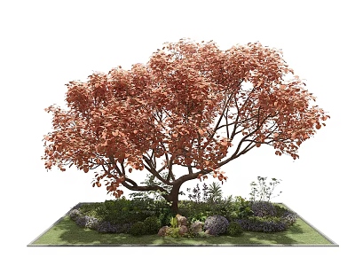 Tall Arbor With Orange Red Leaves And Surrounding Shrubs On Green Lawn 3d model