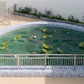 Large Curved Indoor Aquarium Featuring Koi Fish Lily Pads and Green Plants