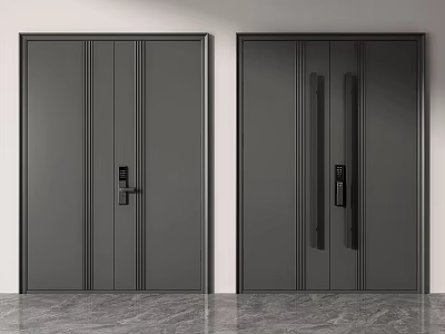 Modern Gray Security Doors with Sleek Metal Design and Sturdy Lock Systems for Home Safety 3d model