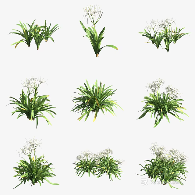 Different Varieties of Green Bushes with White Blossoms for Outdoor Garden Decoration 3d model 