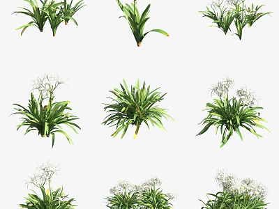Different Varieties of Green Bushes with White Blossoms for Outdoor Garden Decoration 3d model