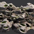 Natural Stone And Wood Decorative Pieces With Hollow Holes And Green Moss