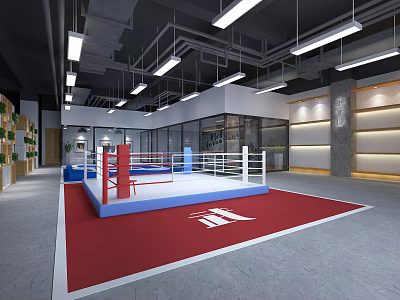 Indoor Boxing Training Ring With Red Blue Ropes And Red Mat Fitness Space 3d model