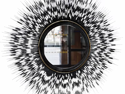 Stylish Round Mirror With Black And White Spiky Decorative Frame 3d model
